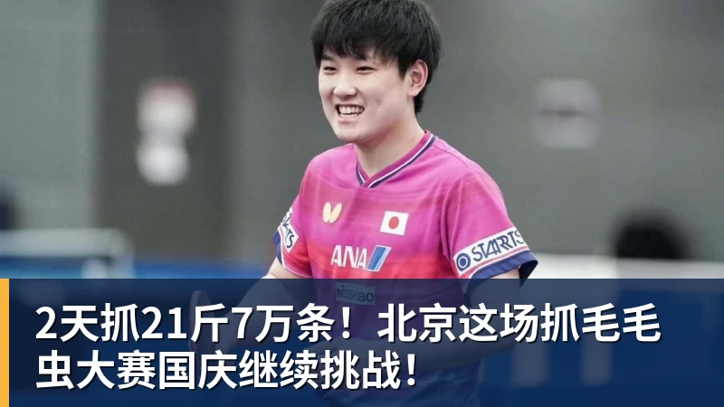 2天抓21斤7万条！北京这场抓毛毛虫大赛国庆继续挑战！